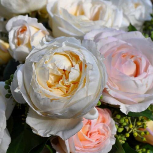 rose Camille Claudel