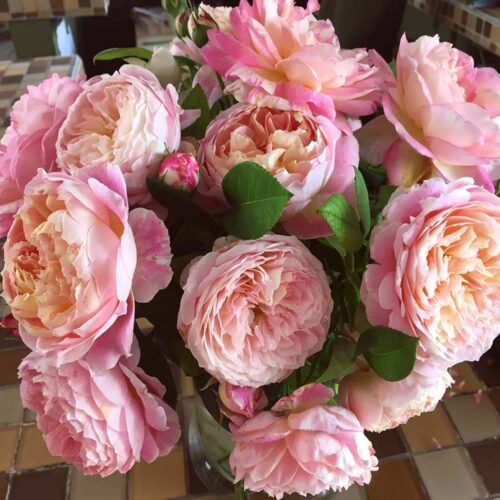 Букет из роз сорта Candice