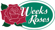 logo Weeks Roses